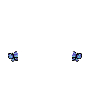 Schmetterling blau